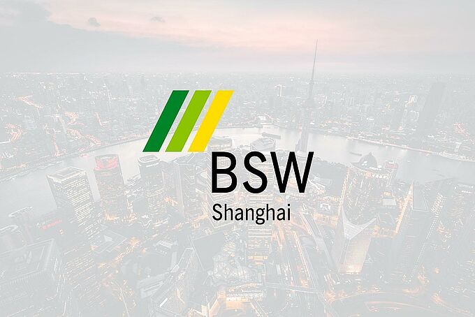 BSW Shanghai Company LTD